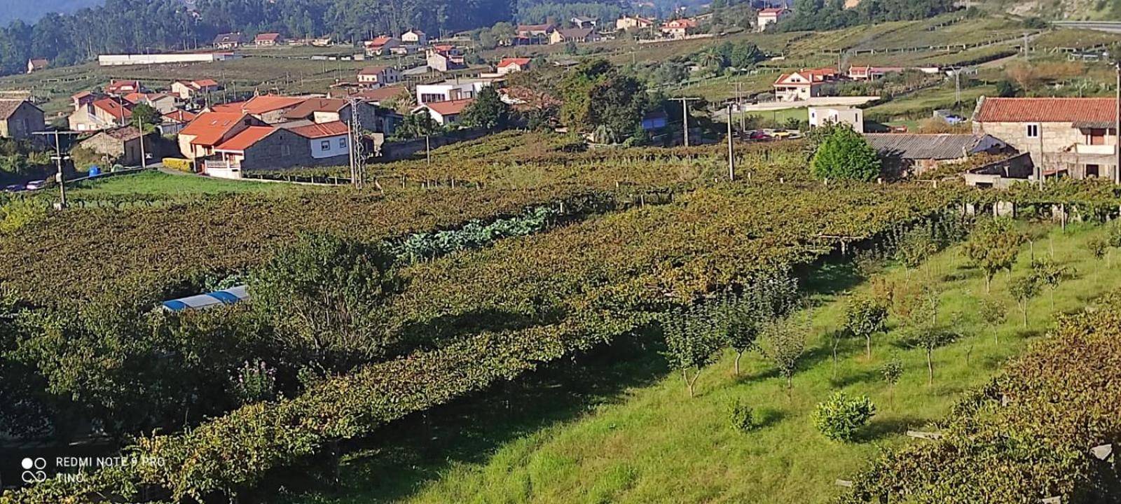 Casa Rodino Otel Meaño Dış mekan fotoğraf